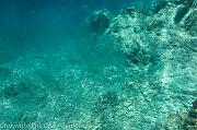 BVI Diving-0097